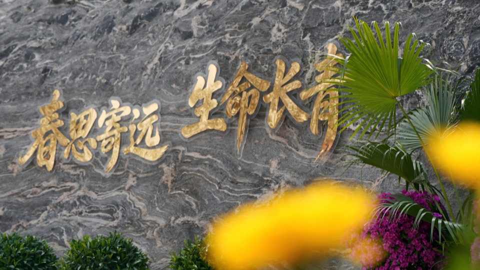 新華網(wǎng)民生觀察丨生態(tài)安葬，從被動(dòng)接受到主動(dòng)預(yù)約