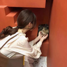 麥善吉