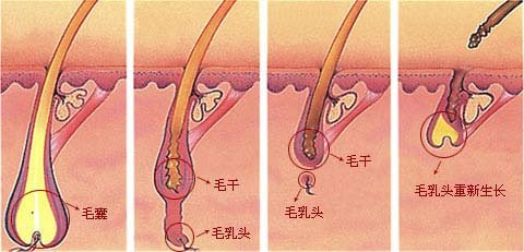 長春專業(yè)整形醫(yī)院大揭秘！公主玻尿酸匯總單來啦，top實力醫(yī)院盤點，盡攬新技術(shù)！讓你驚艷不止~超乎想象的收