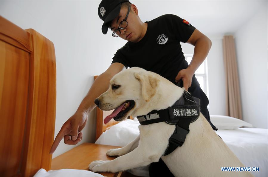 #CHINA-SHANDONG-LINYI-SNIFFER DOG-SHOW (CN)