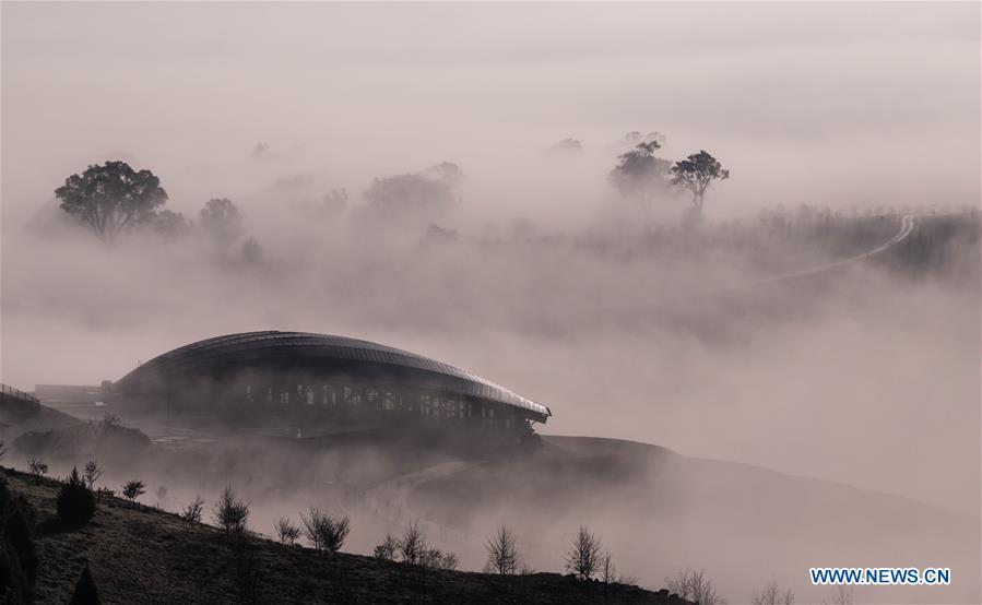 AUSTRALIA-CANBERRA-WINTER-MORNING SCENERY-FOG