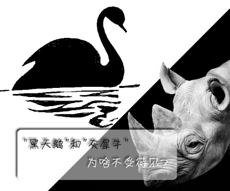 "黑天鵝"和"灰犀牛"為啥不受待見(jiàn)?