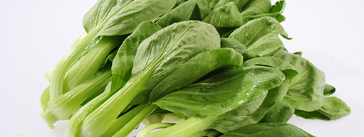 胡五岳:嚴(yán)把農(nóng)田到餐桌每一道防線