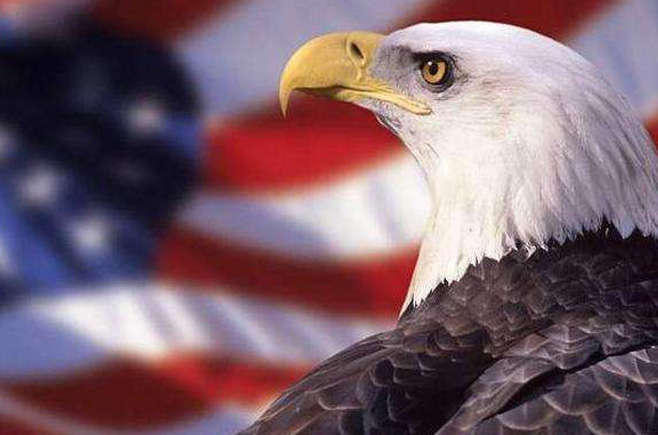 若鷹派掌權會發(fā)生什么？