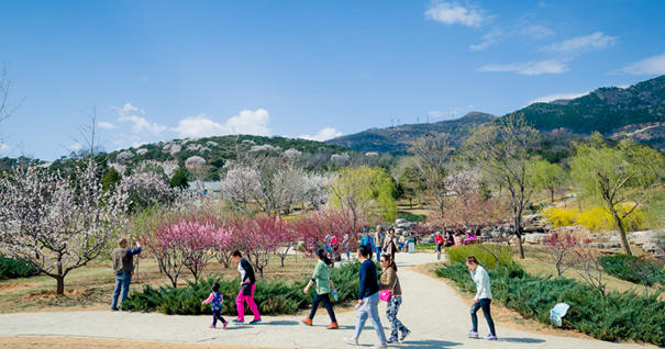 美到無(wú)法呼吸！&ldquo;西山晴雪&rdquo;攝影大賽來(lái)了