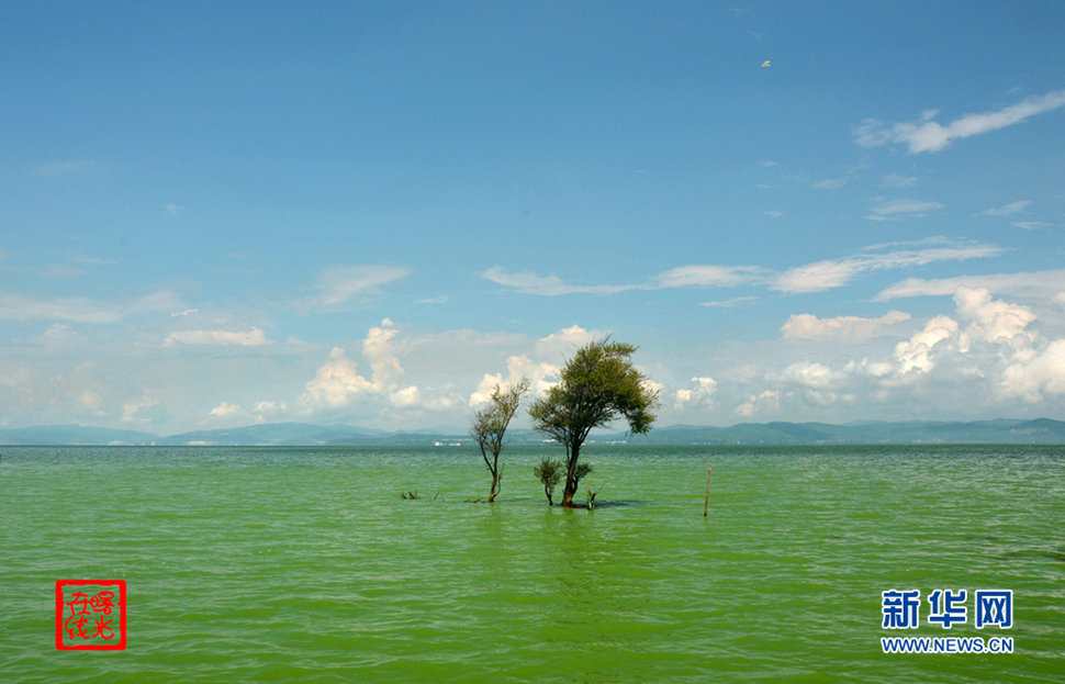 陽光昆明，爽爽的春城