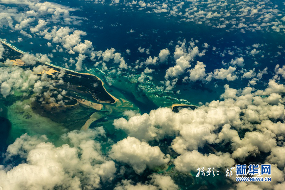 飛躍太平洋，跨越秋與春