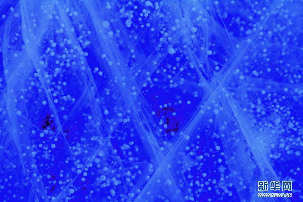 氣泡冰亮晶晶，藍精靈賽繁星