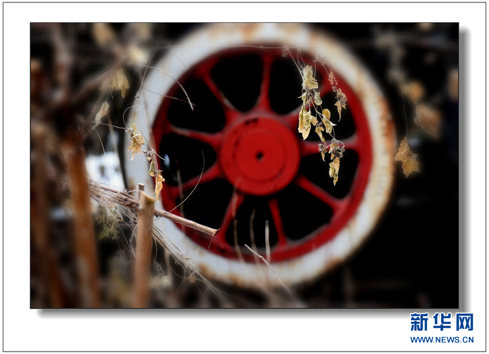 《遺世流年抹滄?！?>	</a></div>
</div>
<div   id=