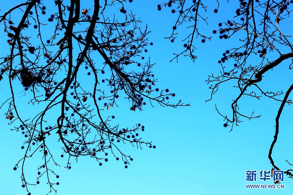 《隆冬暖陽下西山掠影》