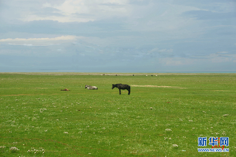 高原放歌之那山、那寺、那朵云
