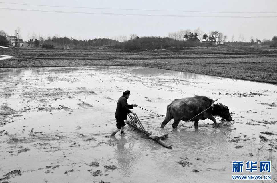農(nóng)民工老吳鏡頭下農(nóng)村改革開(kāi)放40周年