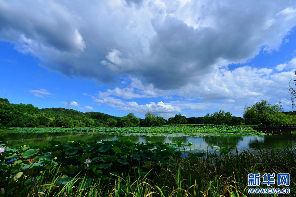 秋高氣爽，行攝八掛田