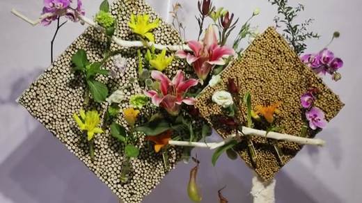 如此動(dòng)人，和百合來(lái)場(chǎng)約會(huì)吧！