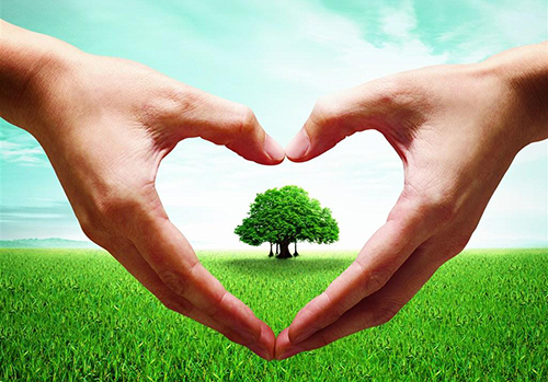 努力全方位、全周期保障人民健康&mdash;&mdash;習(xí)近平總書記在全國衛(wèi)生與健康大會(huì)上的講話引起強(qiáng)烈反響