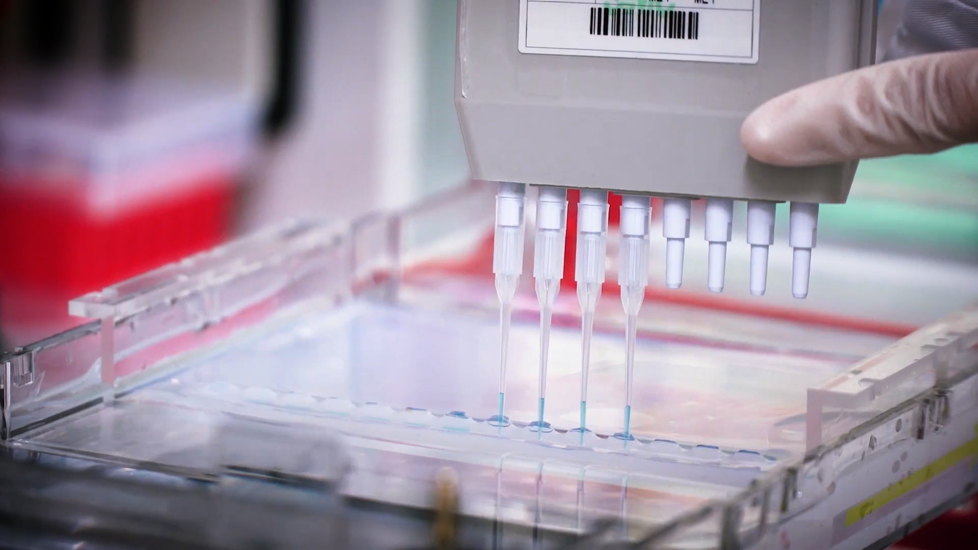 致敬偉大改革｜對話40年，講述身邊的健康故事32&mdash;打破醫(yī)學(xué)禁區(qū)，探尋生命奇跡