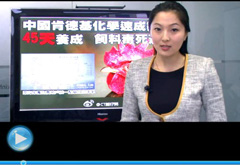 權(quán)威聲音：&ldquo;快時代&rdquo;究竟還有什么可以速成？