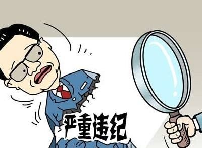 近20名中管干部被立案審查 聚焦2017中國反腐&ldquo;成績單&rdquo;