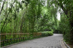北京海醫(yī)悅美整形面部填充適應(yīng)癥有哪些？多久消腫？