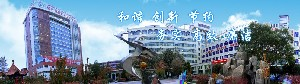 喀什地區(qū)第一人民醫(yī)院硅膠墊下巴價格如何？效果如何？