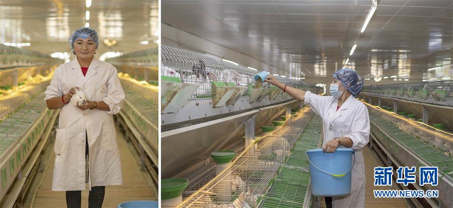 （脫貧攻堅&middot;圖片故事）（2）脫貧靠雙手&mdash;&mdash;新疆和田地區(qū)未摘帽縣就業(yè)見聞