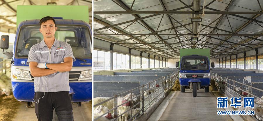 (脫貧攻堅(jiān)·圖片故事)(13)脫貧靠雙手——新疆和田地區(qū)未摘帽縣就業(yè)見(jiàn)聞