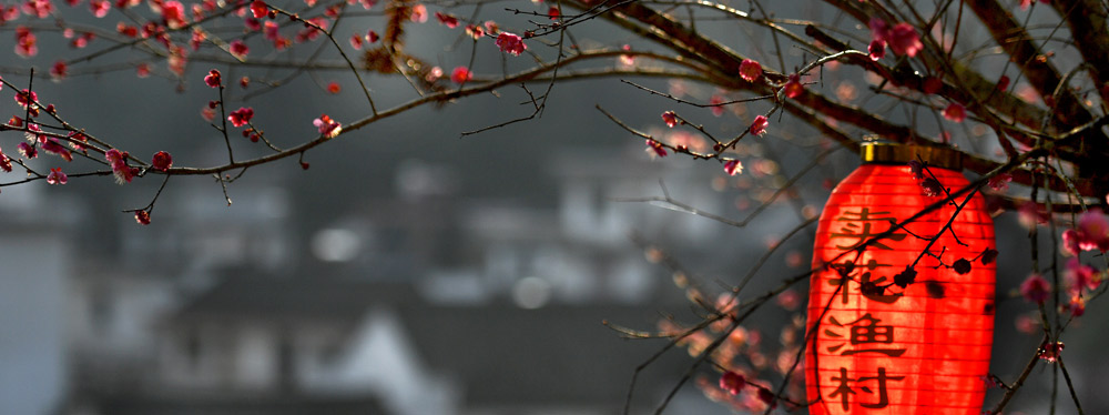 春來花開，綻放正當時