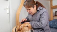 &ldquo;有你在身旁，真好&rdquo;