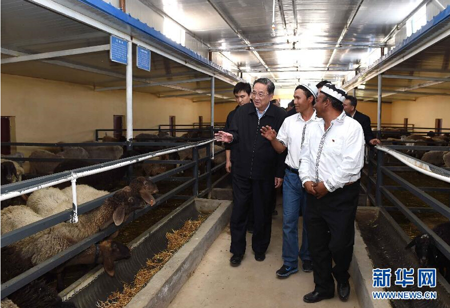 9月27日，中共中央政治局常委、全國(guó)政協(xié)主席、中央代表團(tuán)團(tuán)長(zhǎng)俞正聲率中央代表團(tuán)部分成員赴喀什地區(qū)莎車(chē)縣看望各族干部群眾。這是俞正聲在新疆生產(chǎn)建設(shè)兵團(tuán)第三師莎車(chē)農(nóng)場(chǎng)實(shí)地察看萬(wàn)只羊養(yǎng)殖基地。新華社記者 饒愛(ài)民 攝