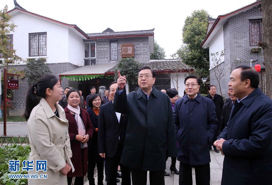 這是11月22日，張德江來(lái)到成都郫縣青杠樹(shù)村，了解村民委員會(huì)工作情況。 新華社記者 劉衛(wèi)兵 攝 