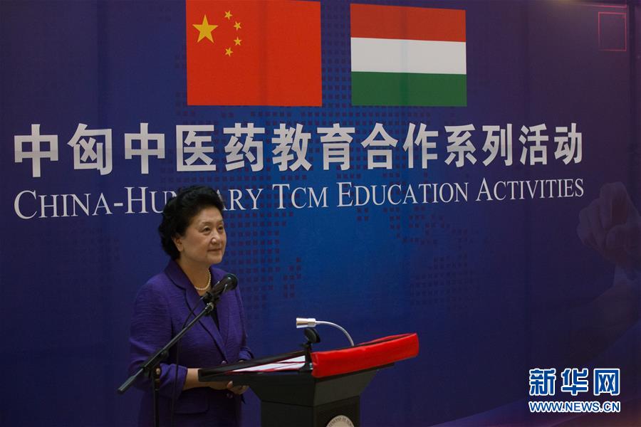 6月18日，在匈牙利布達佩斯，中國國務(wù)院副總理劉延?xùn)|出席中匈中醫(yī)藥教育合作系列活動時講話。中國國務(wù)院副總理劉延?xùn)|18日在布達佩斯考察匈牙利塞梅爾維斯醫(yī)科大學(xué)并出席中匈中醫(yī)藥教育合作系列活動。 新華社發(fā)（弗爾季&middot;奧蒂洛攝）