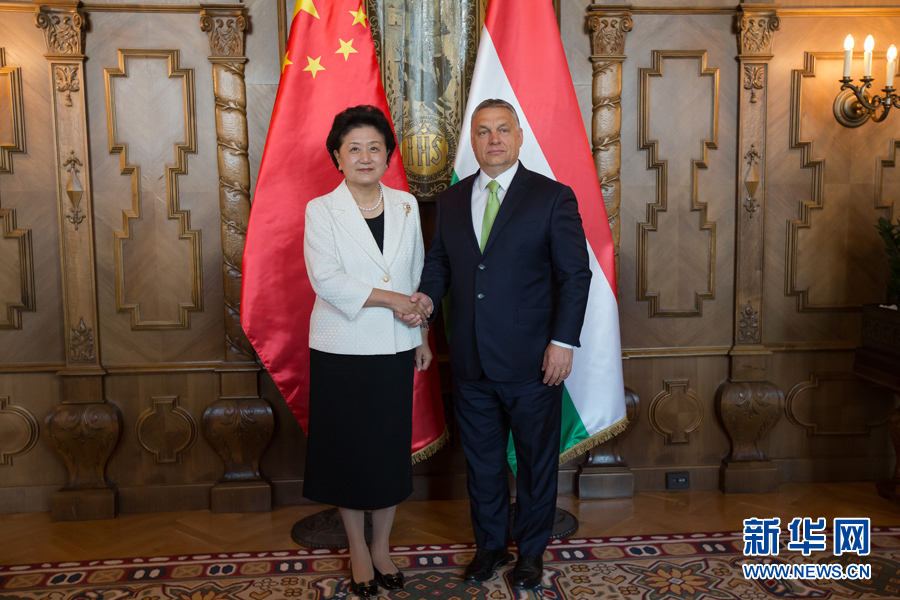  6月21日，國務(wù)院副總理劉延?xùn)|（左）在匈牙利布達佩斯國會大廈會見匈牙利總理歐爾班。 新華社發(fā)（弗爾季&middot;奧蒂洛攝）