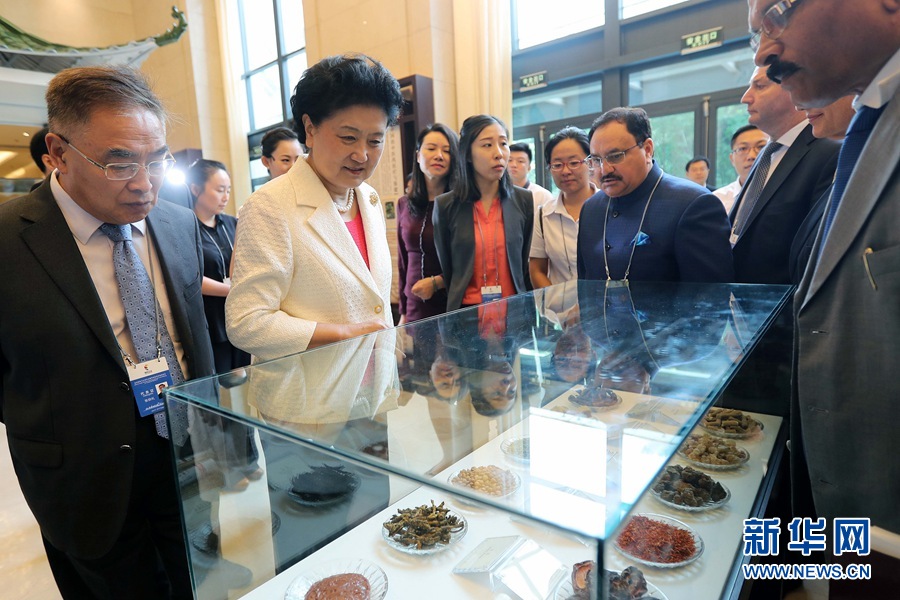 7月6日，金磚國家衛(wèi)生部長會暨傳統(tǒng)醫(yī)藥高級別會議在天津開幕。這是國務(wù)院副總理劉延?xùn)|與外賓一起參觀傳統(tǒng)醫(yī)藥文化展。 新華社記者 張玉薇 攝