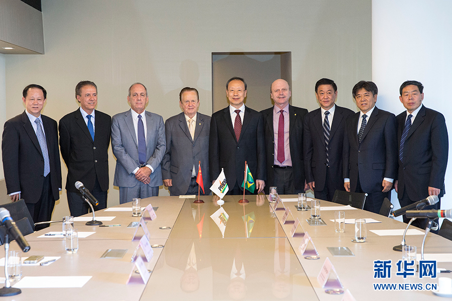 7月11日，在巴西首都巴西利亞，中共中央書記處書記、全國(guó)政協(xié)副主席杜青林（中）會(huì)見巴西民主運(yùn)動(dòng)黨總書記毛羅&middot;洛佩斯（左四）。新華社記者李明攝
