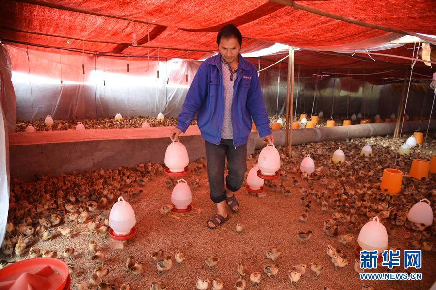 （新華全媒頭條&middot;圖文互動）（8）赤水：別了，貧困！