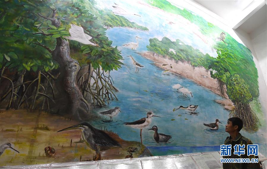 （圖文互動）（5）十年樹木、紅樹成林&mdash;&mdash;&ldquo;海上森林&rdquo;回歸記