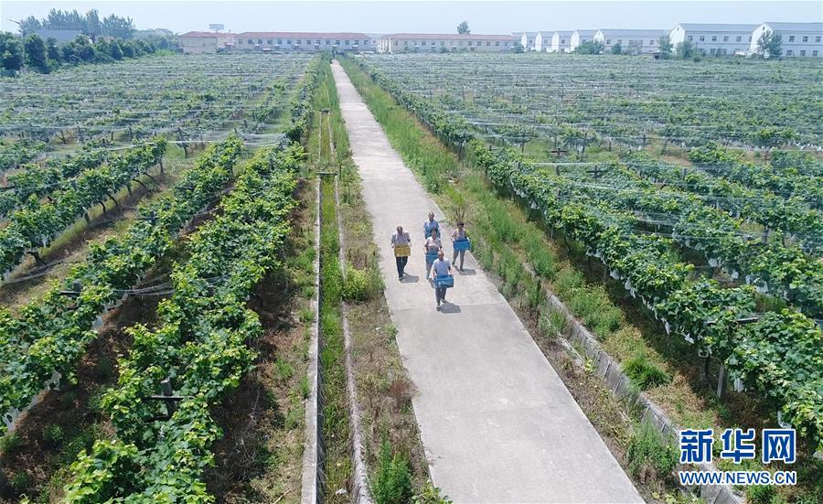 （新華全媒頭條&middot;紀(jì)念改革開(kāi)放40年特稿&middot;圖文互動(dòng)）（5）向著新航程揚(yáng)帆奮進(jìn)！&mdash;&mdash;從小崗精神看中國(guó)改革開(kāi)放40年