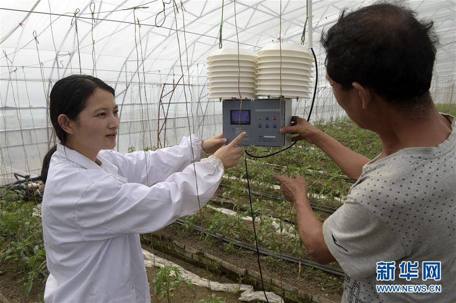 (經(jīng)濟)(2)推廣農(nóng)業(yè)科技助推鄉(xiāng)村振興