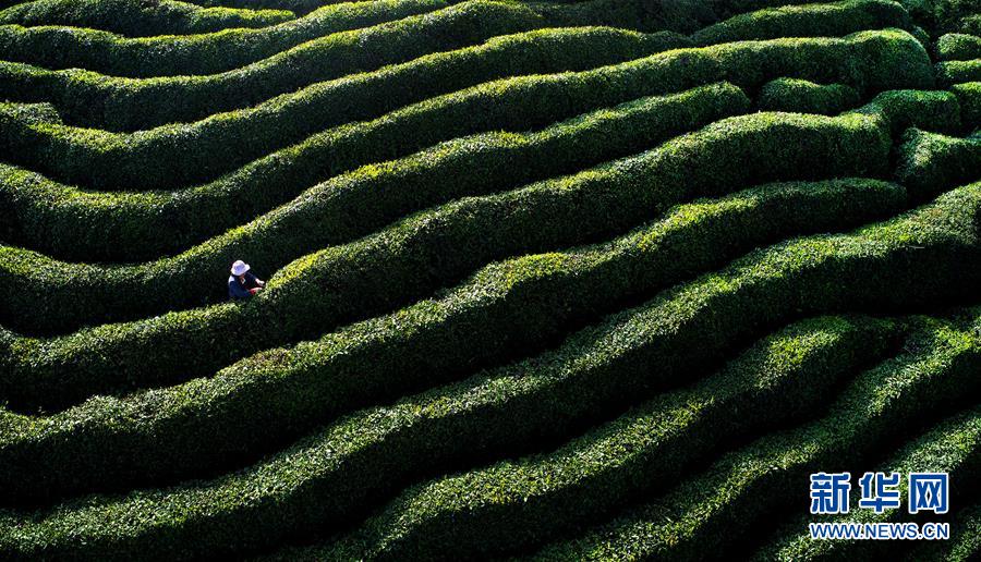 （鏡觀中國&middot;新華網(wǎng)）（10）新華社國內(nèi)照片一周精選