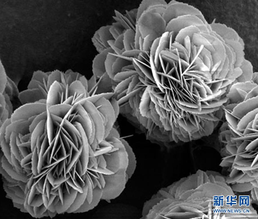 (新時代奮斗者·圖文互動)(3)“美麗發(fā)現(xiàn)”之路——記青年化學家戈鈞