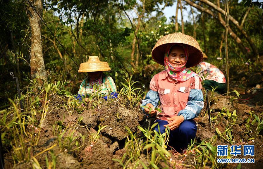 （新媒體專(zhuān)線(xiàn)）（6）立足獨(dú)特優(yōu)勢(shì) 勇立改革潮頭&mdash;&mdash;習(xí)近平總書(shū)記在海南考察回訪(fǎng)記