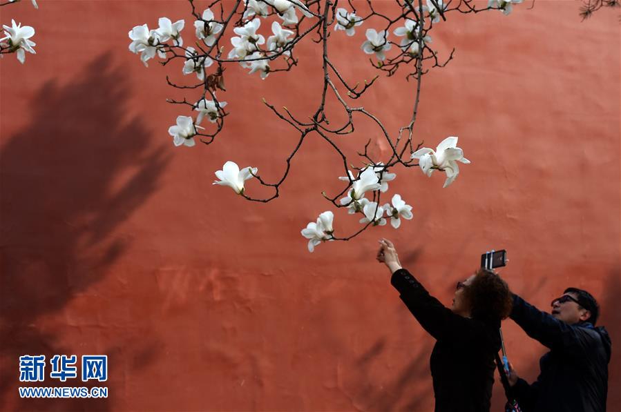 (在習(xí)近平新時代中國特色社會主義思想指引下——新時代新氣象新作為·新華全媒頭條·圖文互動)(1)最濃是這中國紅——北京市西城區(qū)弘揚(yáng)紅墻意識深化改革發(fā)展紀(jì)實(shí)