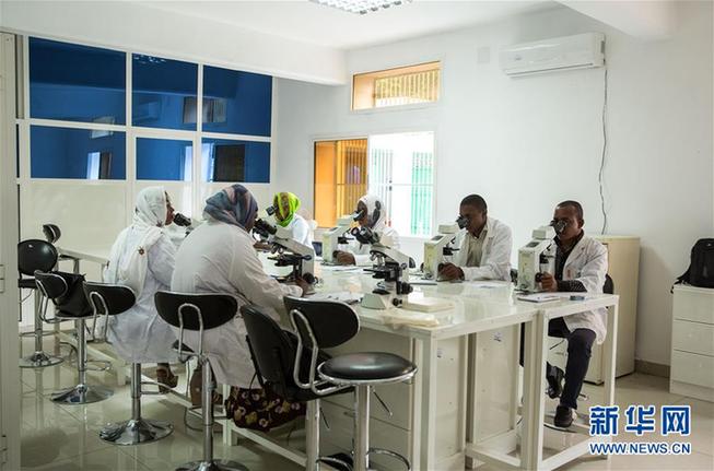 （新華全媒頭條&middot;世界防治瘧疾日&middot;圖文互動(dòng)）（2）&ldquo;月亮之國&rdquo;的驅(qū)魔人&mdash;&mdash;記非洲抗瘧戰(zhàn)場上的廣東團(tuán)隊(duì)