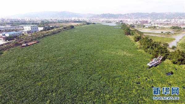 （圖文互動）（1）&ldquo;白練&rdquo;變&ldquo;黑龍&rdquo;，江河變&ldquo;草原&rdquo;－－粵東母親河為何污染20多年難治理？
