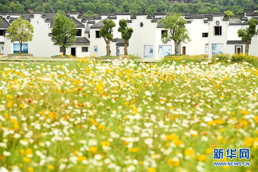 （新華全媒頭條&middot;搶救古民居&middot;圖文互動）（2）當古民居遇上城鎮(zhèn)化，如何留住鄉(xiāng)愁？