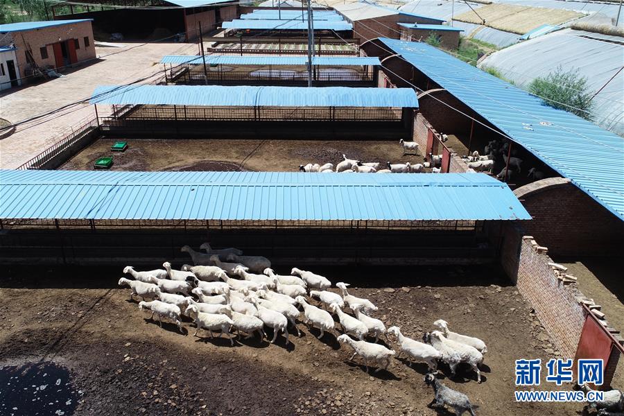 （壯闊東方潮 奮進(jìn)新時代&mdash;&mdash;慶祝改革開放40年）（9）退耕還林20年 延安大地譜新篇