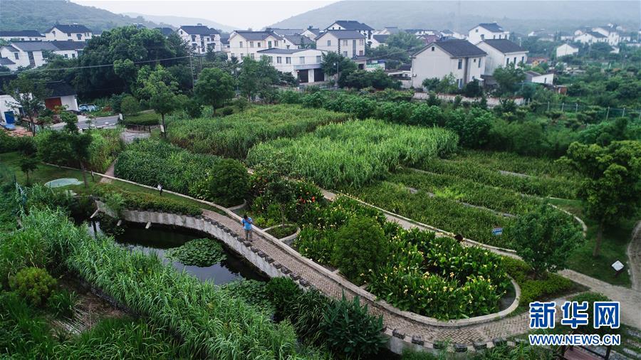 （在習近平新時代中國特色社會主義思想指引下&mdash;&mdash;新時代新作為新篇章&middot;圖文互動）（1）稀奇！治污濕地成了休閑公園&mdash;&mdash;江蘇蘇州全域推進農(nóng)村生活污水治理