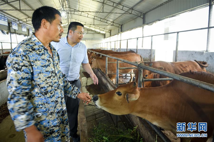 （脫貧攻堅(jiān)&middot;圖文互動(dòng)）（2）&ldquo;不畏難、不畏煩、不畏苦&rdquo;&mdash;&mdash;記&ldquo;80后&rdquo;扶貧干部李朝陽(yáng)