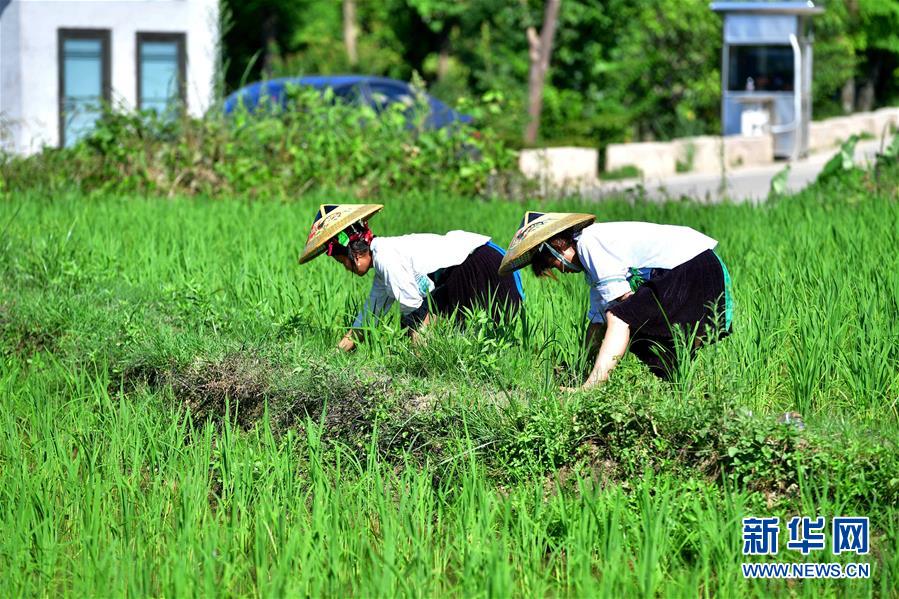 （社會）（2）苗山脫貧影像志&mdash;&mdash;把苗寨搬進景區(qū) 讓貧困戶住進城里