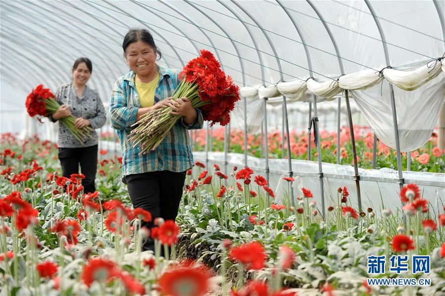 （大江奔流&mdash;&mdash;來自長江經(jīng)濟(jì)帶的報(bào)道&middot;新華全媒頭條&middot;圖文互動(dòng)）（3）擘畫新時(shí)代中國發(fā)展新坐標(biāo)&mdash;&mdash;深入推動(dòng)長江經(jīng)濟(jì)帶發(fā)展述評  